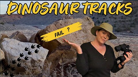 DINOSAUR TRACKS, FAIL?