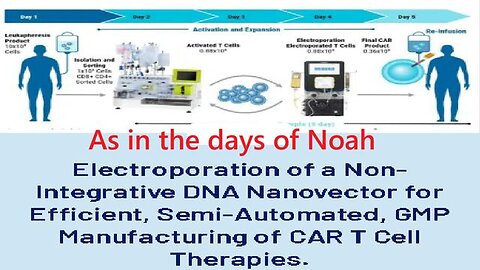 Electroporation mRNA Gene Editing - As in the days of Noah - Changing you into an abomination