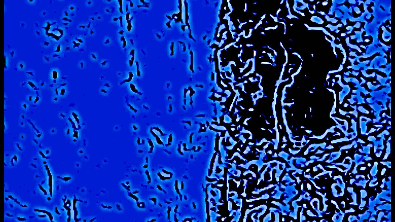 Einzug in die Stadt aus Gold - humans(R)demons