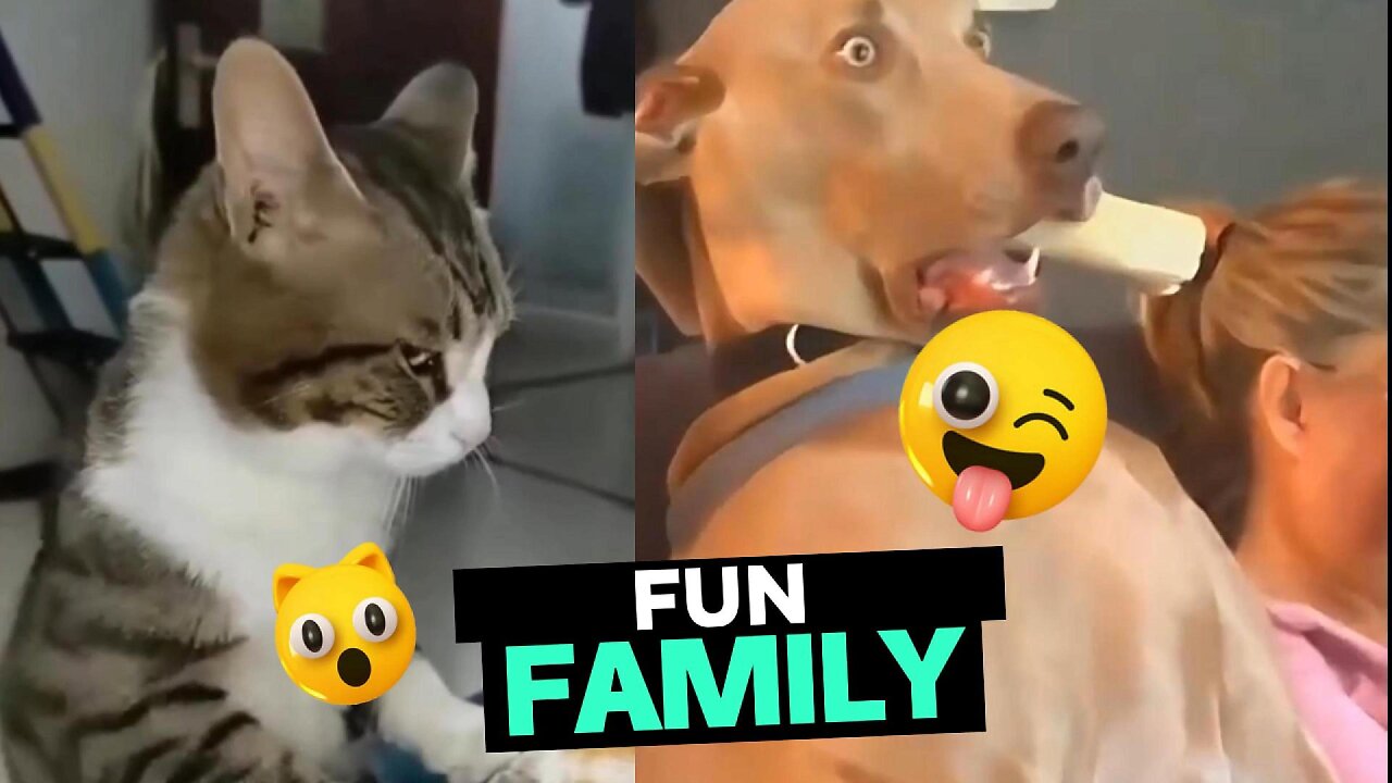 Ultimate Dogs and Cats funny Moments