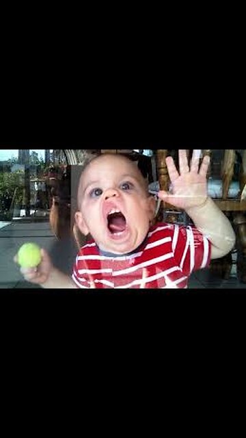 "Human Toddlers and Their Little Troubles 👶😂 | Funny Moments Compilation"