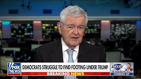 Newt Gingrich: Dem Party Has Become Radical, Very Different From America
