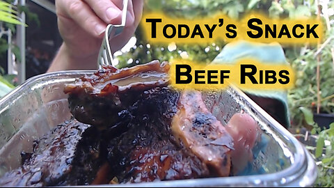 Today’s Snack: Chocolate Pudding, Roasted Vegetables and Beef Ribs [ASMR, Food, Healthy Eating]