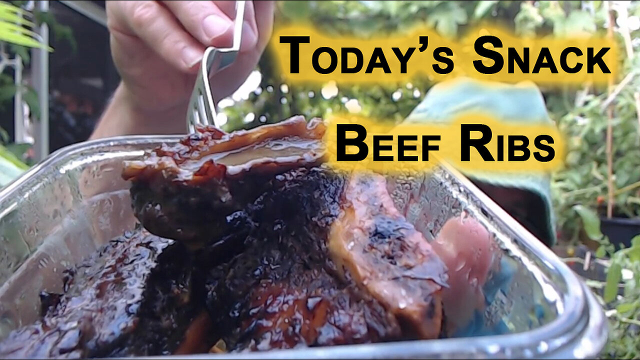 Today’s Snack: Chocolate Pudding, Roasted Vegetables and Beef Ribs [ASMR, Food, Healthy Eating]