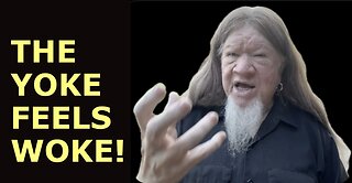 THE YOKE FEELS WOKE