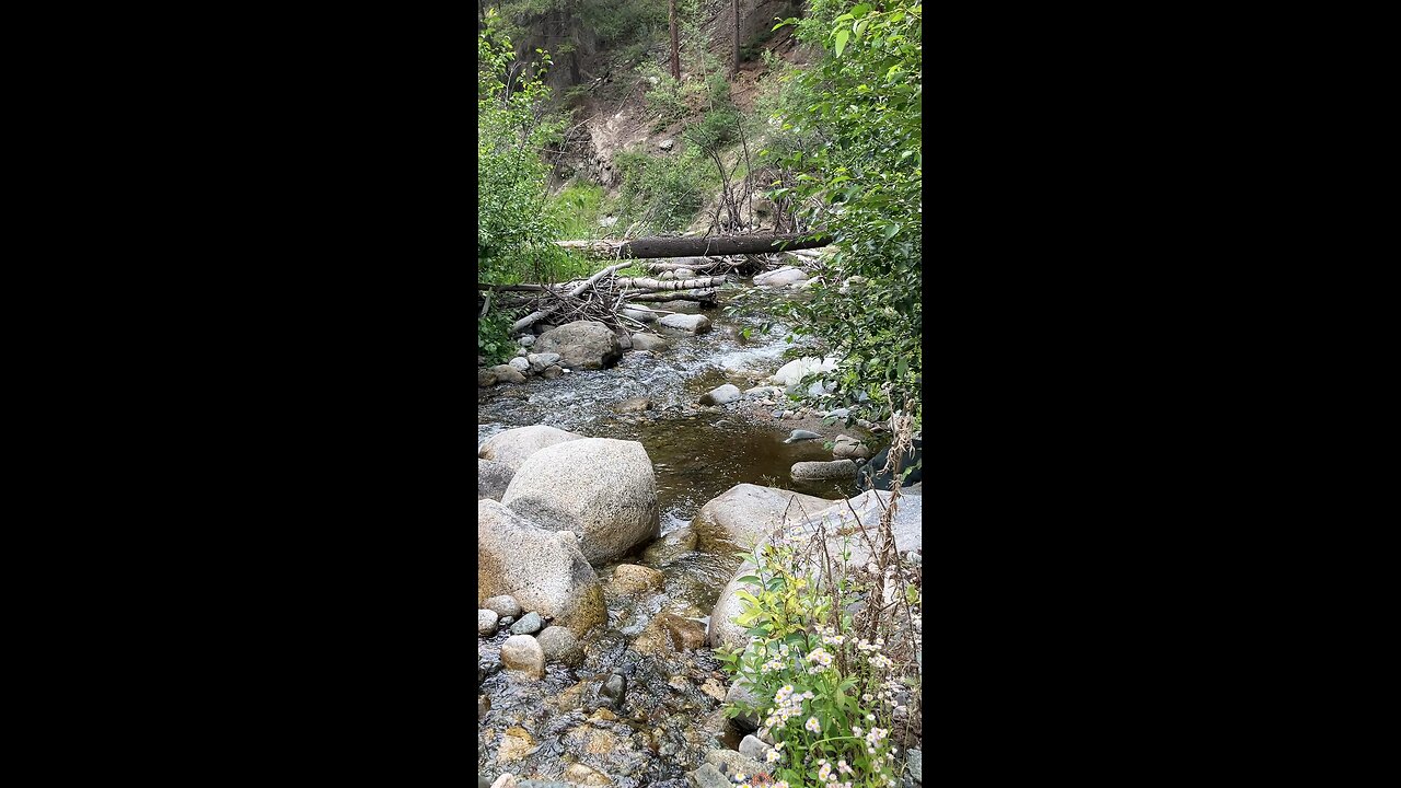 The most special spot