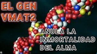 EL GEN VMAT2 DERRUMBA LA INMORTALIDAD DEL ALMA Y LA TEOCRACIA DEL SIGLO 21
