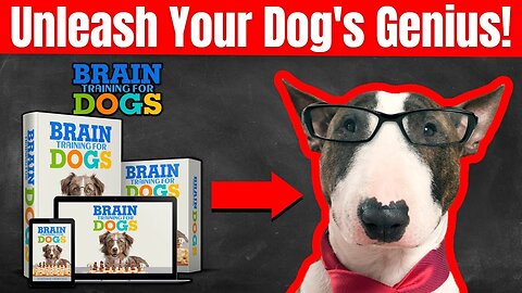 BRAIN TRAINING FOR DOGS REVIEW 🐾WATCH THIS🐾 Brain Training For Dogs Works? - Brain Training 4 Dogs