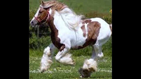 Next Time I'm In Town [Lonely Starred Remix]