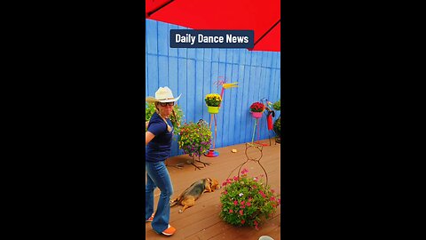 Daily Dance News