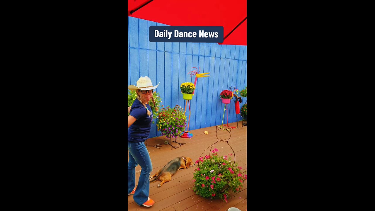 Daily Dance News