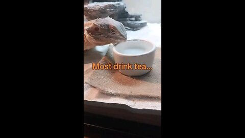 Sippin'