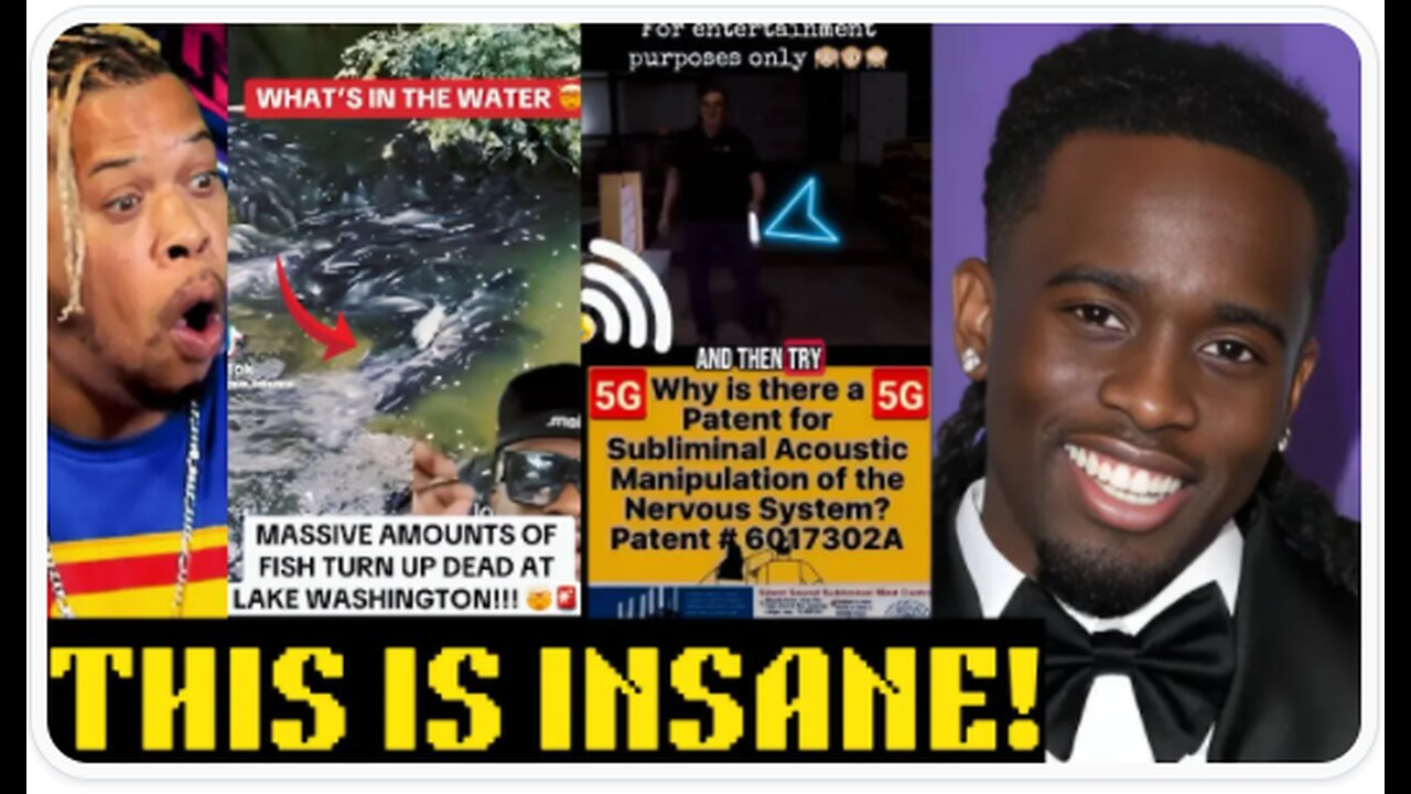 The WEIRDEST Most DISTUR8ING Videos Online Today! - THE REACT FILES