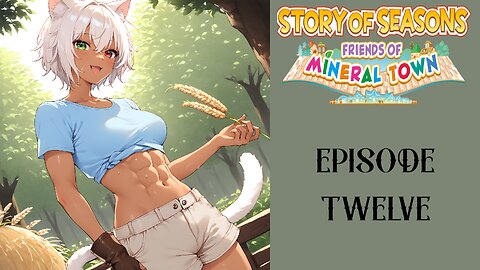 Story of Seasons Friends of Mineral Town S3 - 12