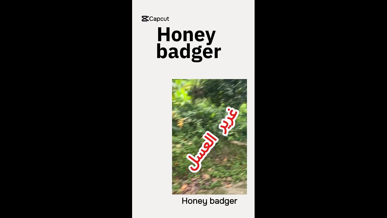 #غرير_العسل