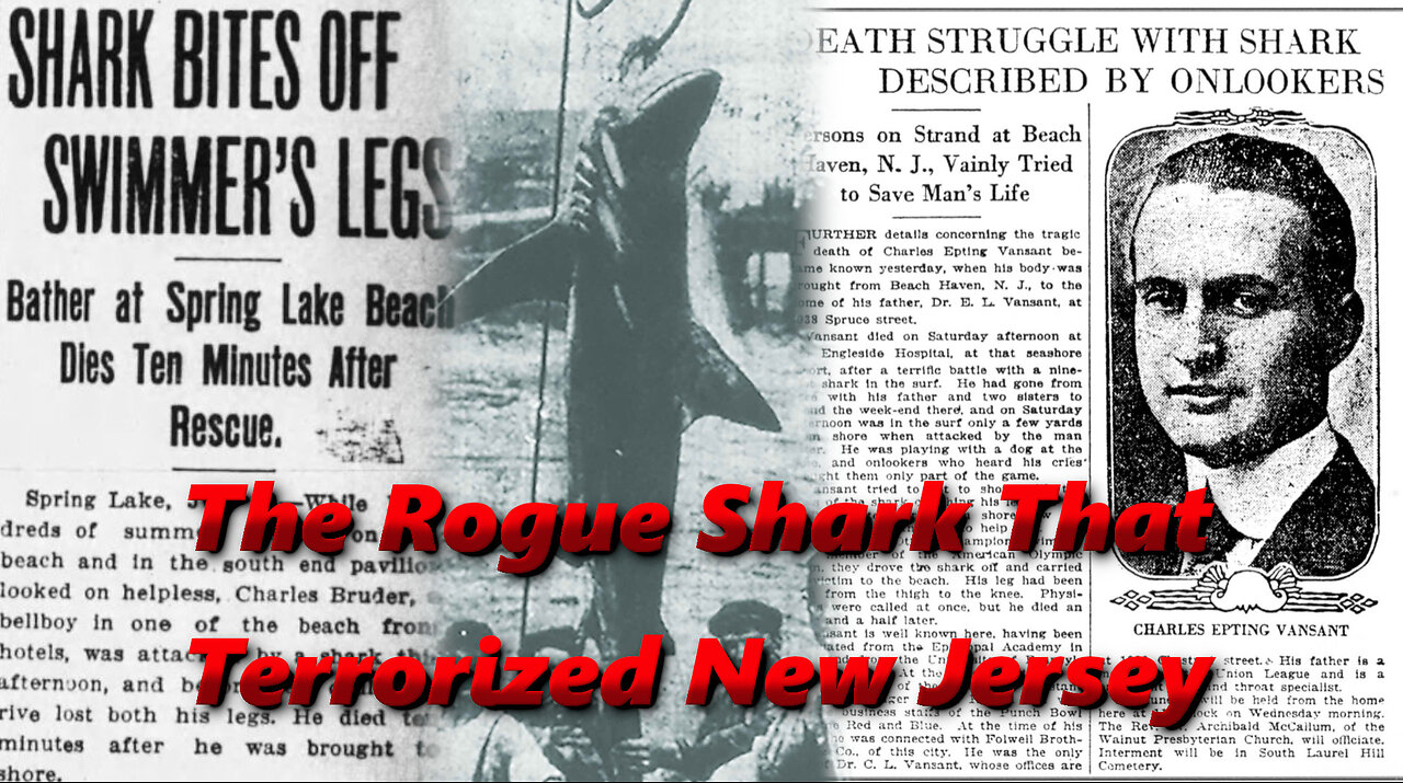 The True Story That Inspired Jaws | The Jersey Shore Shark Attacks of 1916 | History in the Dark