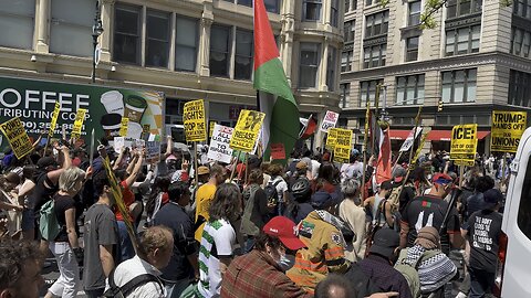 Free Palestine from New York