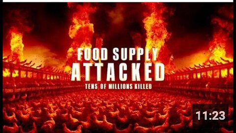 "Rise in Government-Culled Chickens Amid Escalating Food Supply Threats"