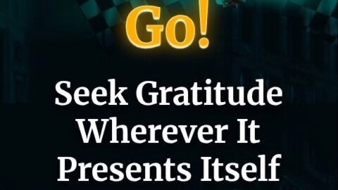 Go! Seek Gratitude Wherever It Presents Itself