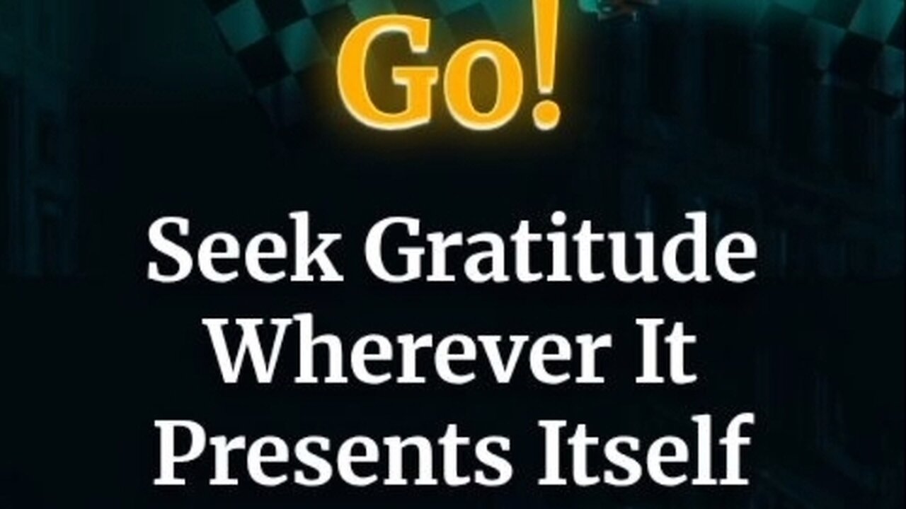 Go! Seek Gratitude Wherever It Presents Itself