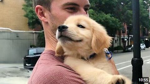 Dogs Who Totally Break a Man’s Heart at First Sight 😻 Cutest Puppies Videos Ever!