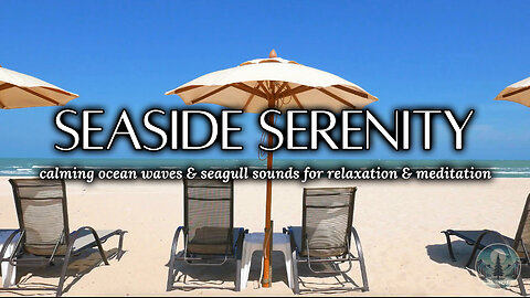 Seaside Serenity 🏖️🌊 Calming Ocean Waves & Seagull Sounds for Ultimate Relaxation | Sounds of Nature