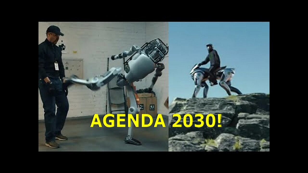 Call: The Brainwashed Sheeple World Has Gone Fucking Completely Insane!