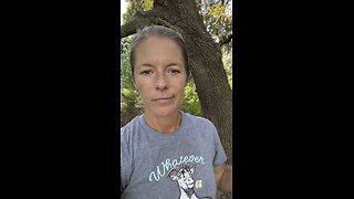 Cow destroys fence, runs off