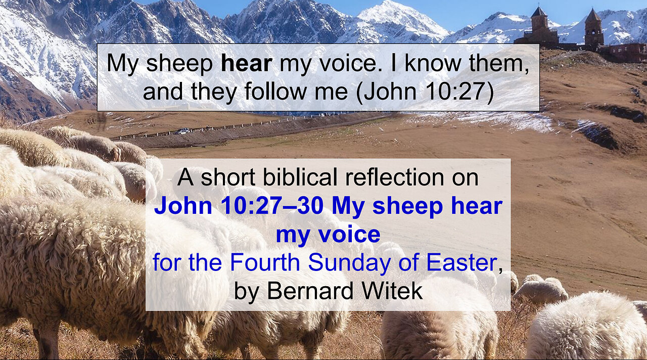 John 10:27-30 My sheep hear my voice Fourth Sunday of Easter