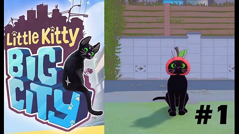 A Little Kitty In a Big City