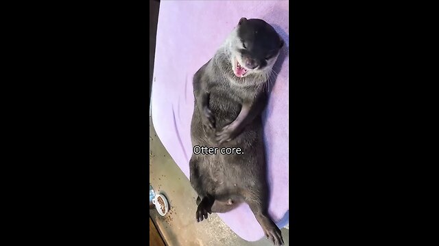 Otter core