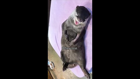 Otter core