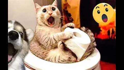 Funniest Cats & Dogs of 2025 – Try Not to Laugh! Part-6