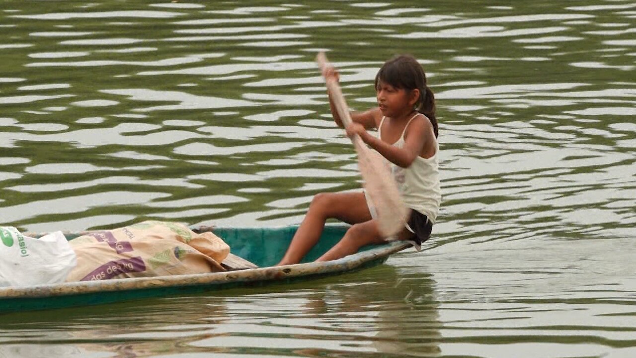Guardianes del manglar: vida y lucha en Ecuador