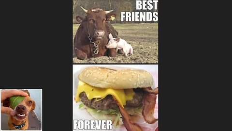 Memes That Will 99.0217% Make You Laugh. (e441)