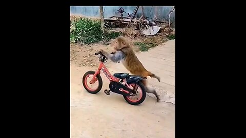 मै घर छोड़ कर जा रहा हु