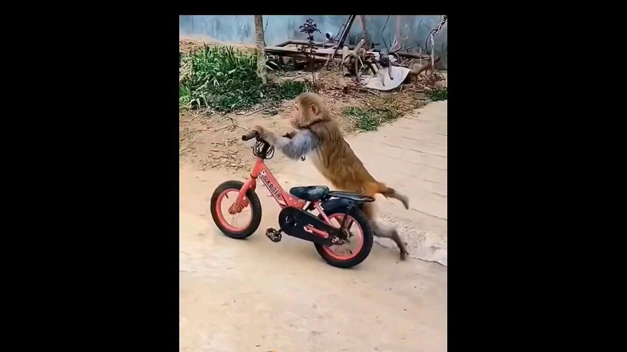 मै घर छोड़ कर जा रहा हु