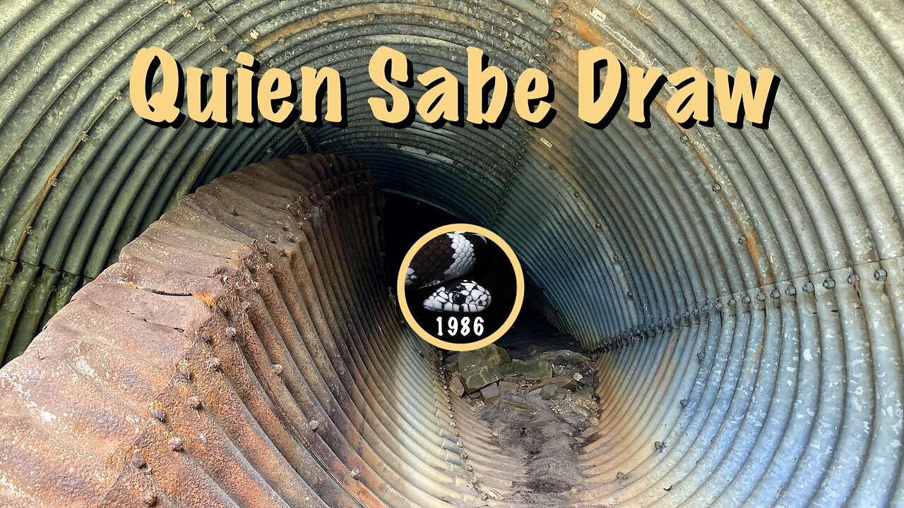 Hiking Quien Sabe Draw, Mogollon Rim