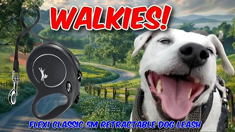 Flexi Classic 5m Retractable Dog Leash Review
