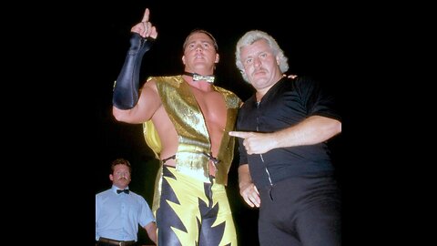 tnt-tuesday night titans-watch how Brutus beefcake wins tag team championship