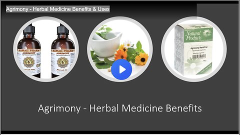 Agrimony - Herbal Medicine Benefits & Uses