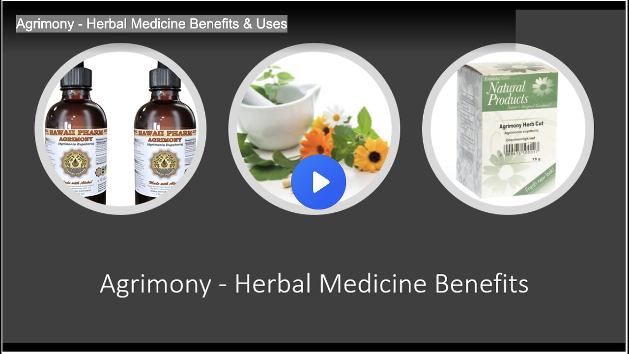 Agrimony - Herbal Medicine Benefits & Uses