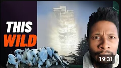 "Off-Grid Homesteading Removed My Video on Aiding Dying Animals"