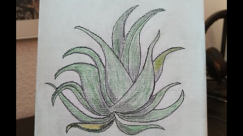 ALOE VERA - SÁBILA