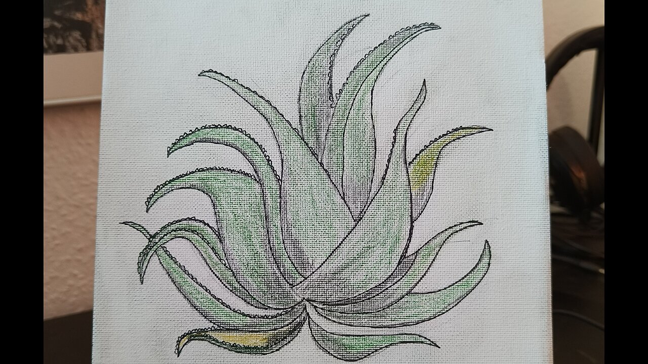 ALOE VERA - SÁBILA