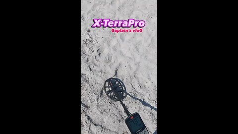 Beach Metal Detecting Minelab X-TerraPro
