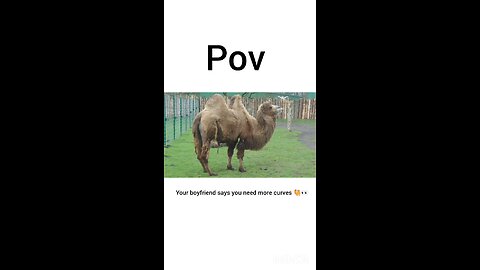POV: Your boyfriend says you need more curves 🐫👀