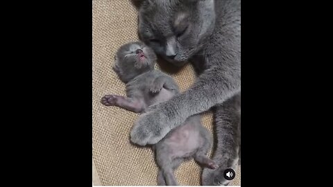 Kets