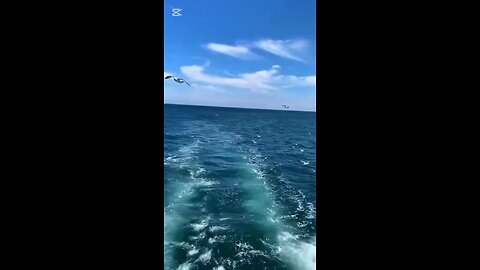 ايات قرءانية 4،،