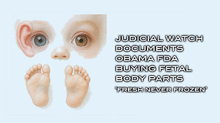 Judicial Watch Documents Obama FDA Buying Fetal Baby Body Parts - Fresh Never Frozen